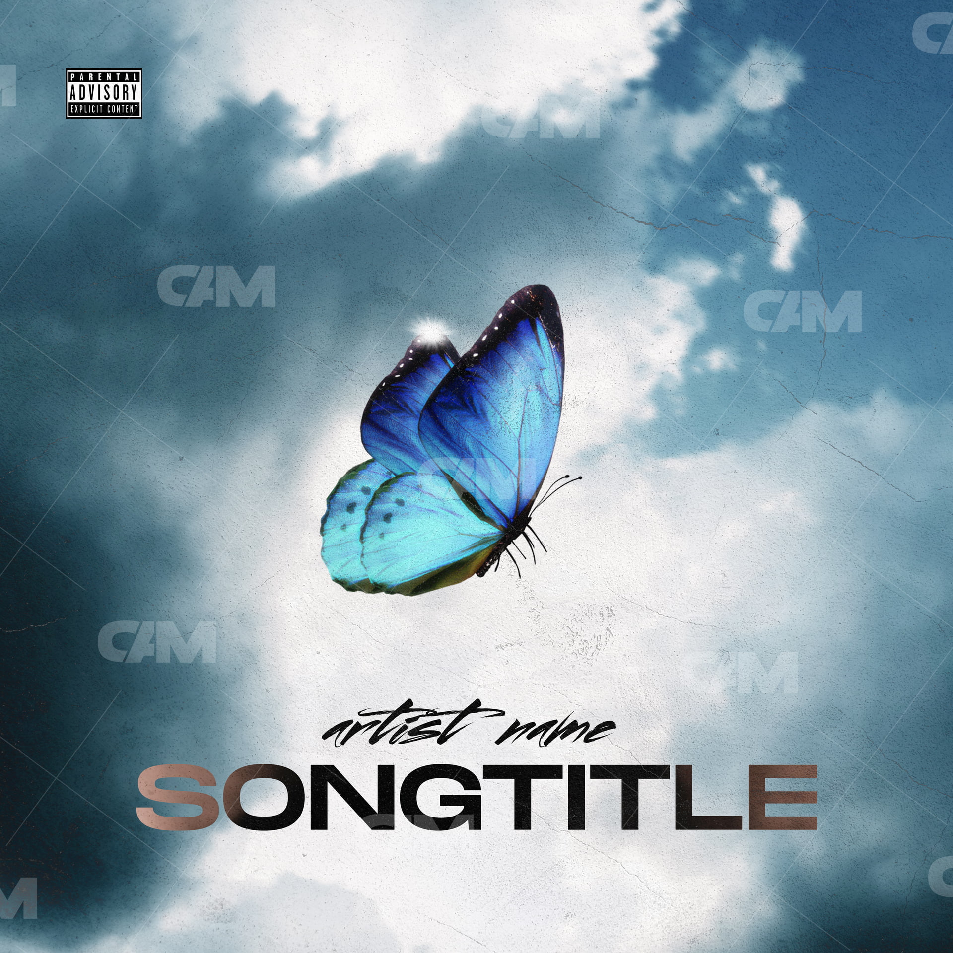 Butterfly 9