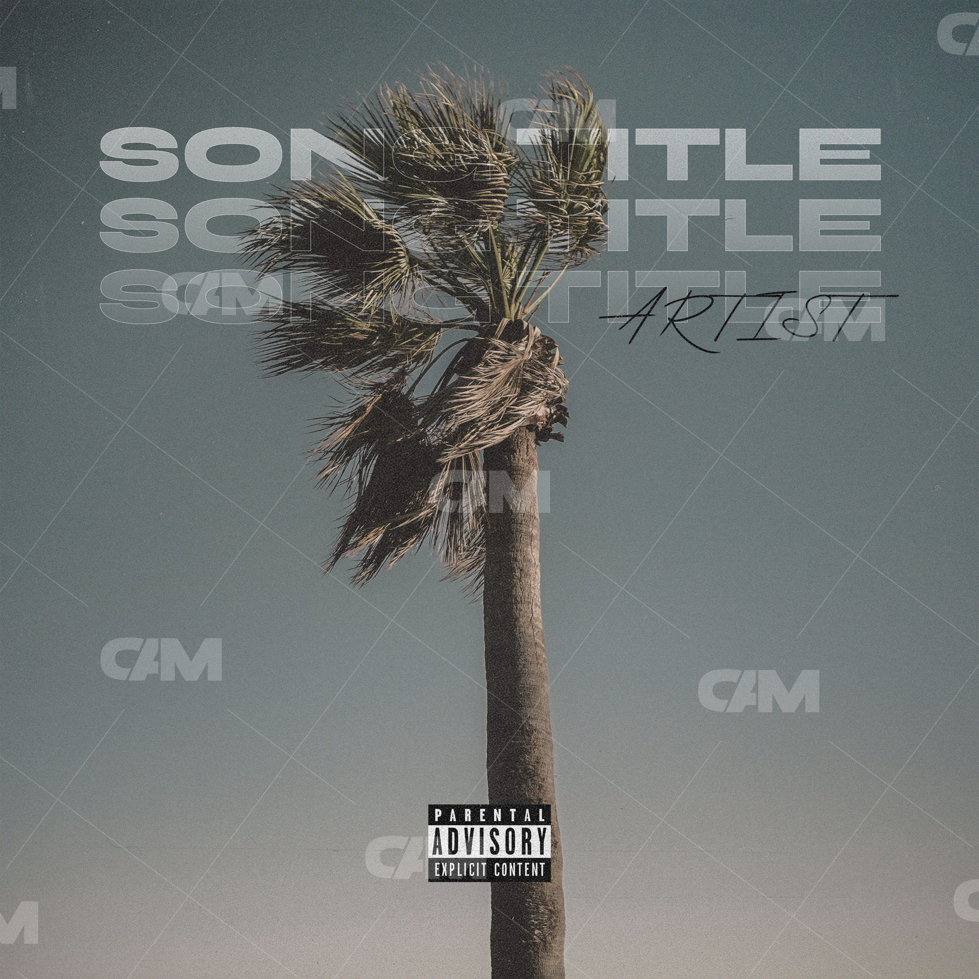 Palm Dreams