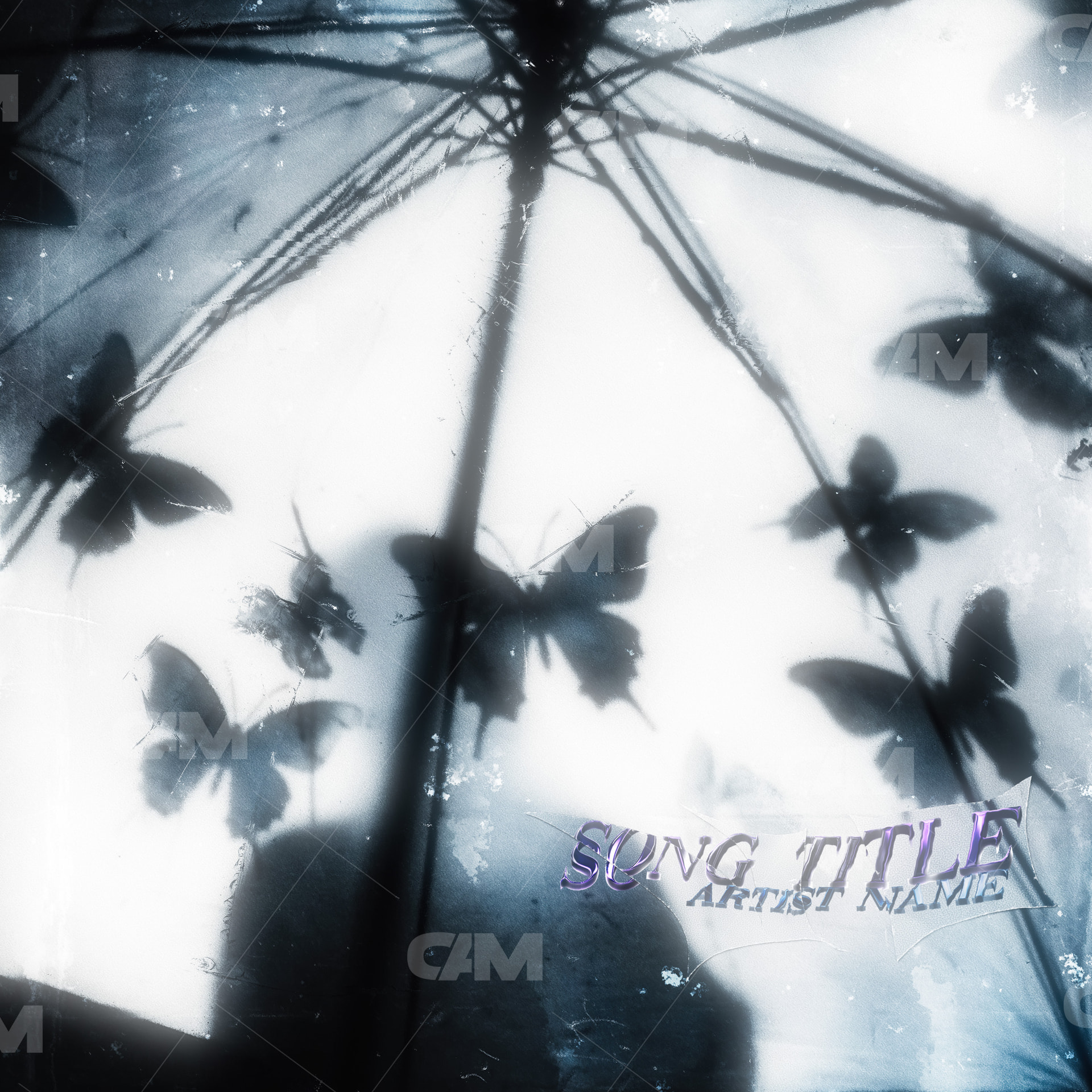 Butterflies