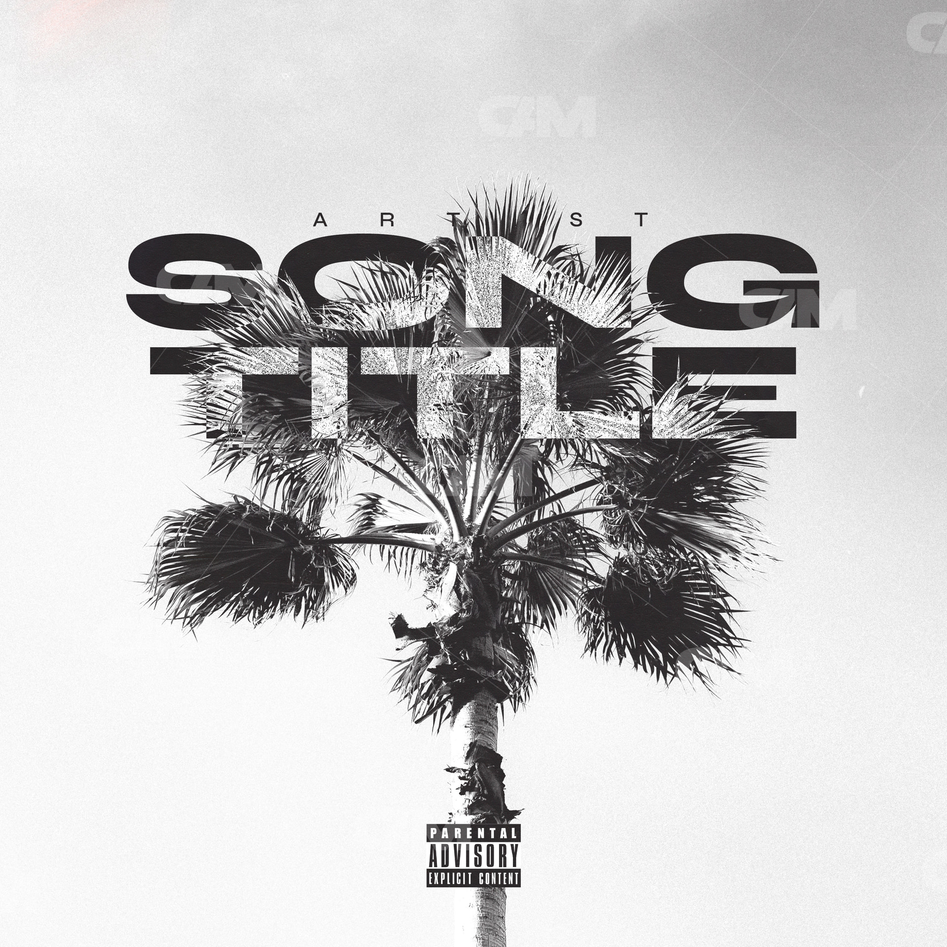 B&w Palm