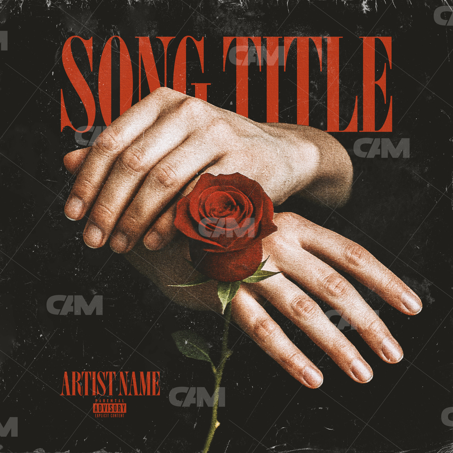 Blood & Bloom