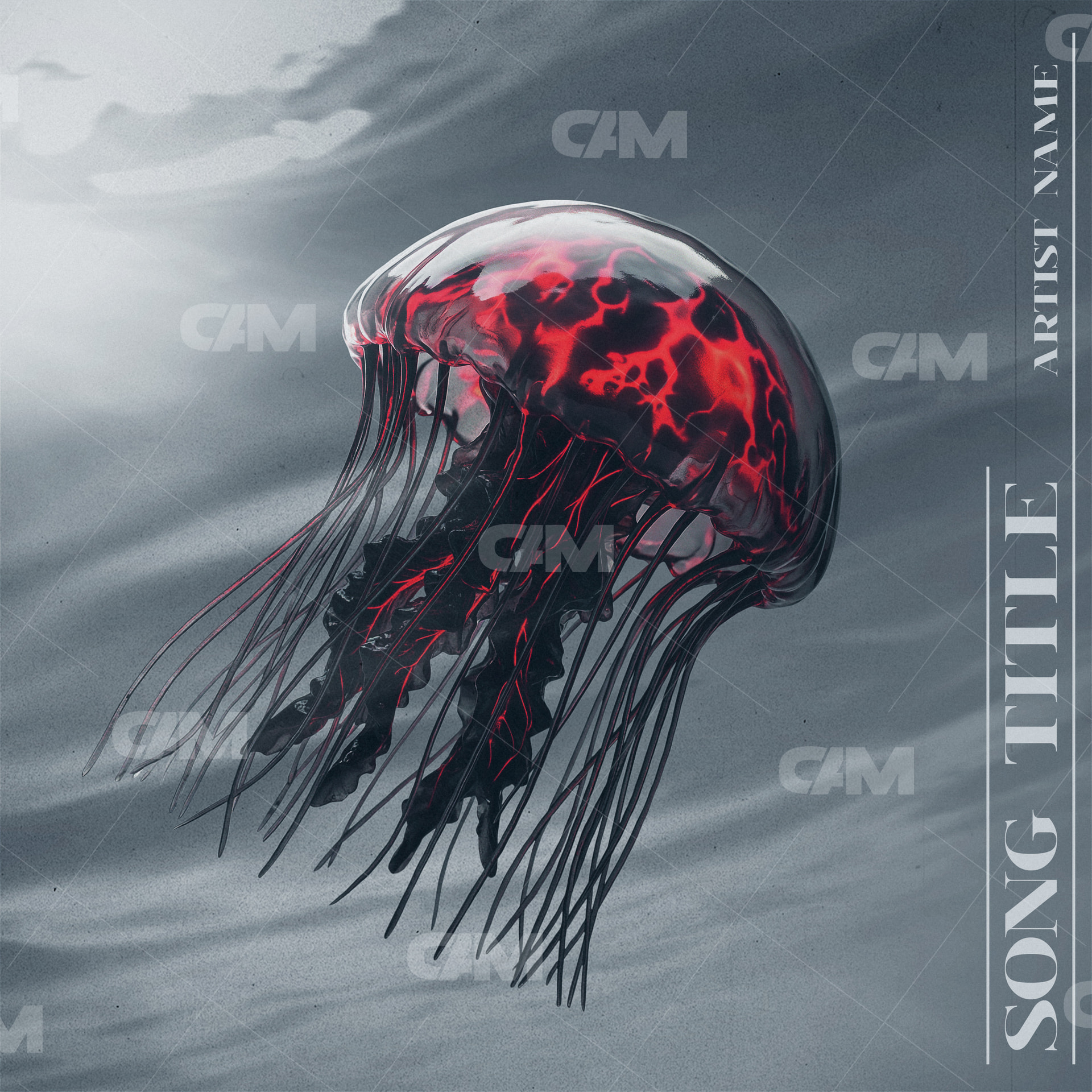 Dark Jellyfish