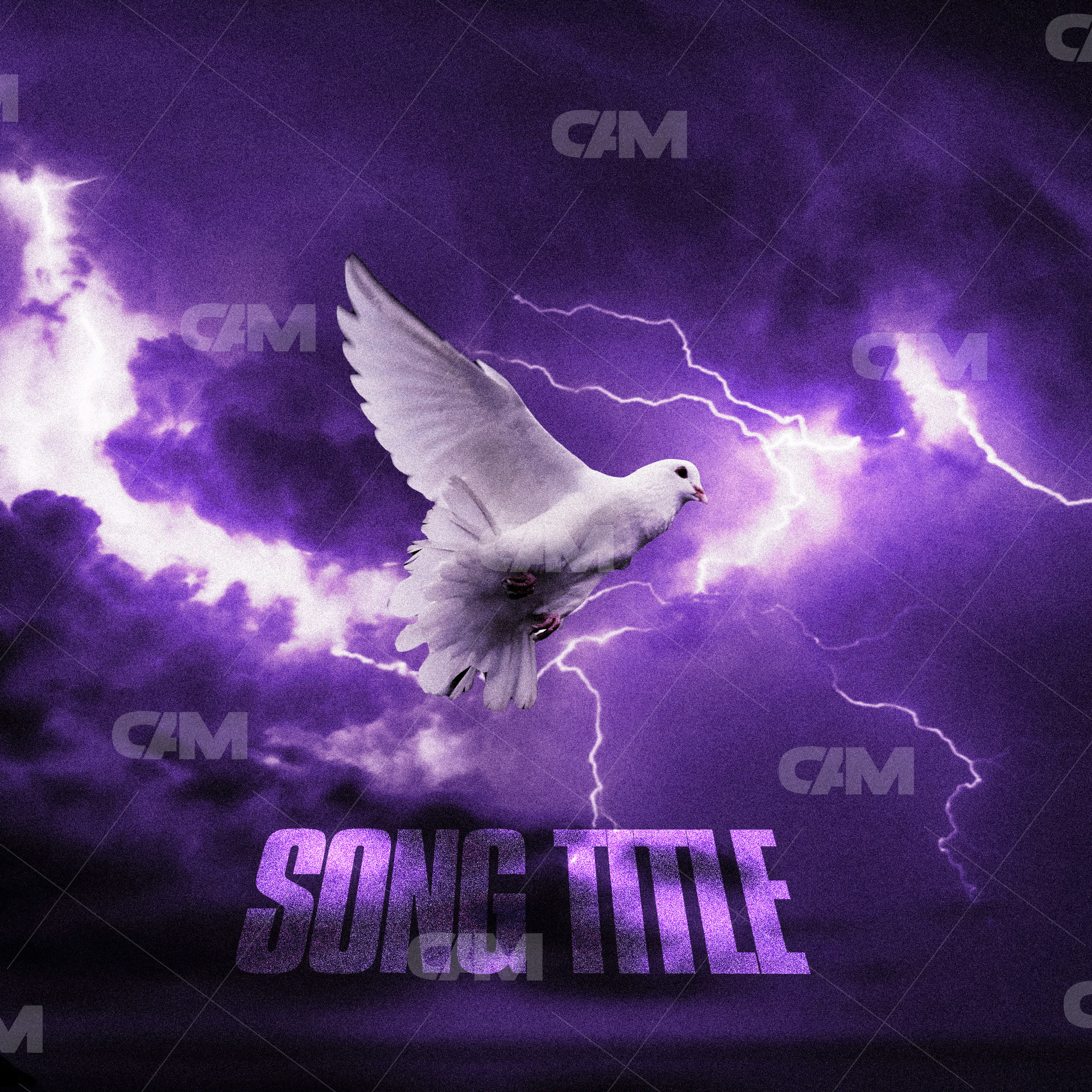 Dove & Storm