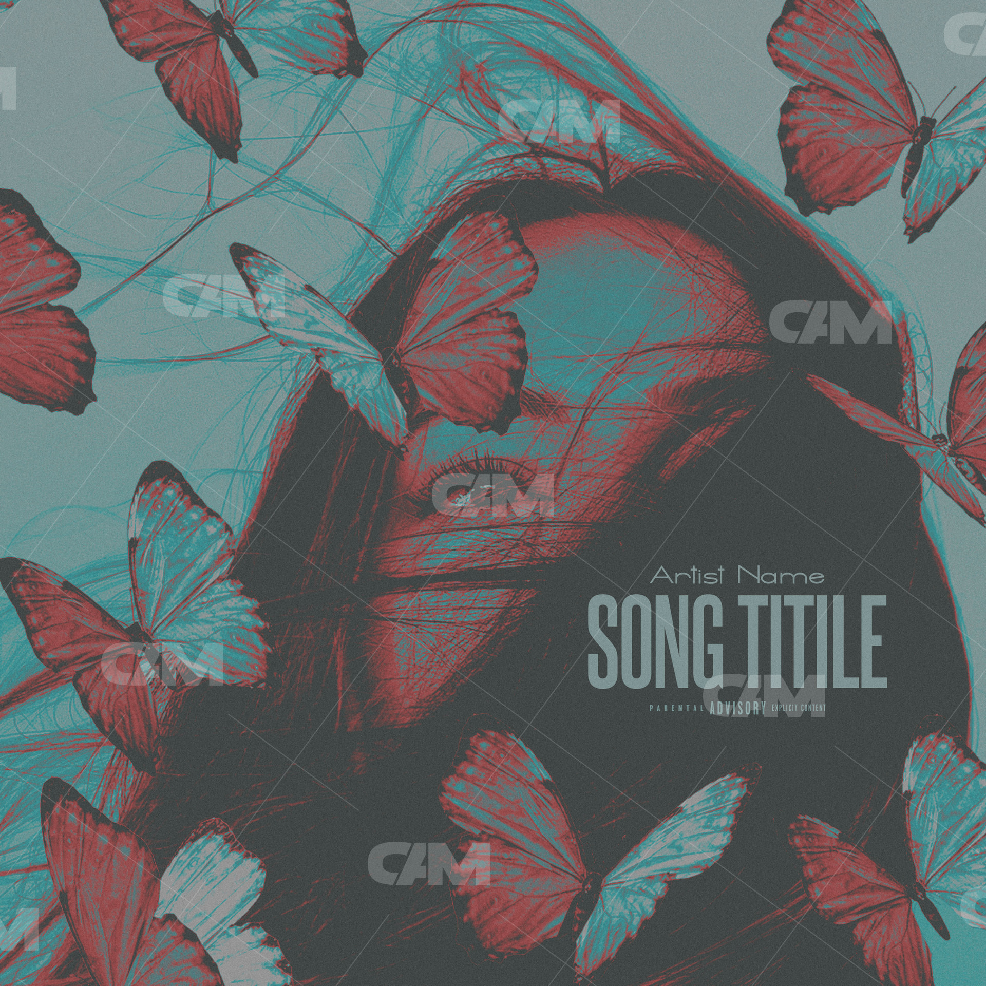 Girl &amp; Butterflys Iiii