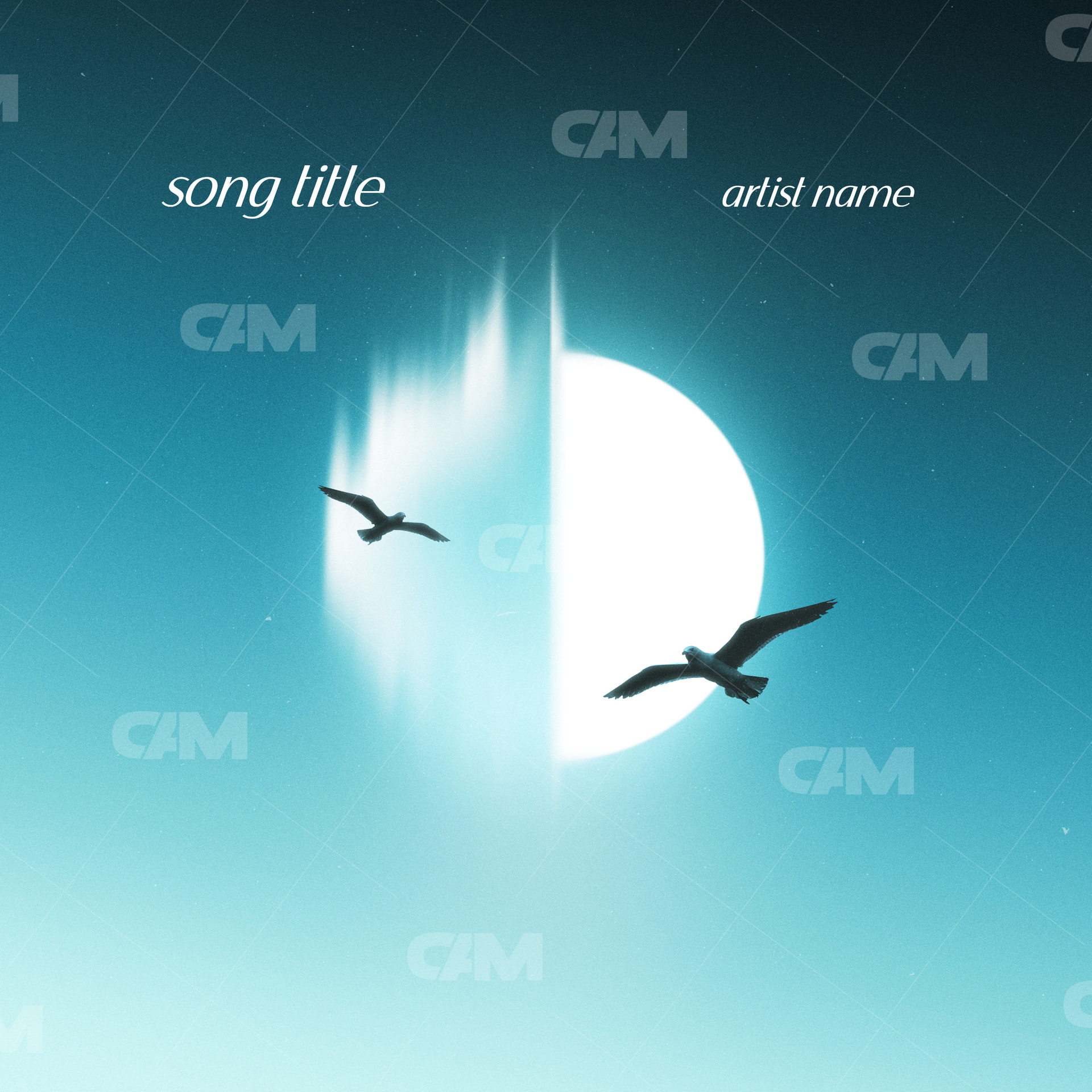 Motion Moon