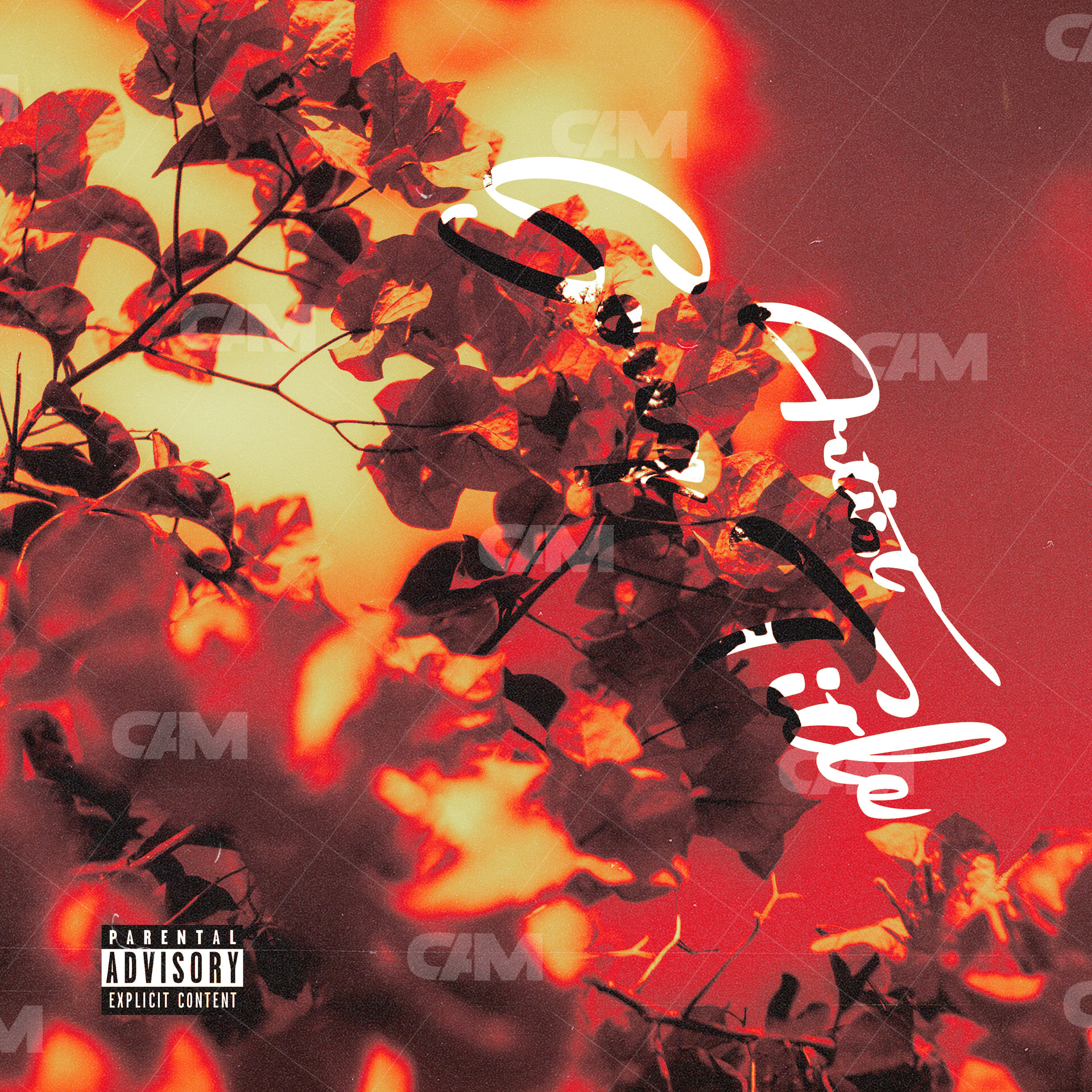 Reddish Flowers
