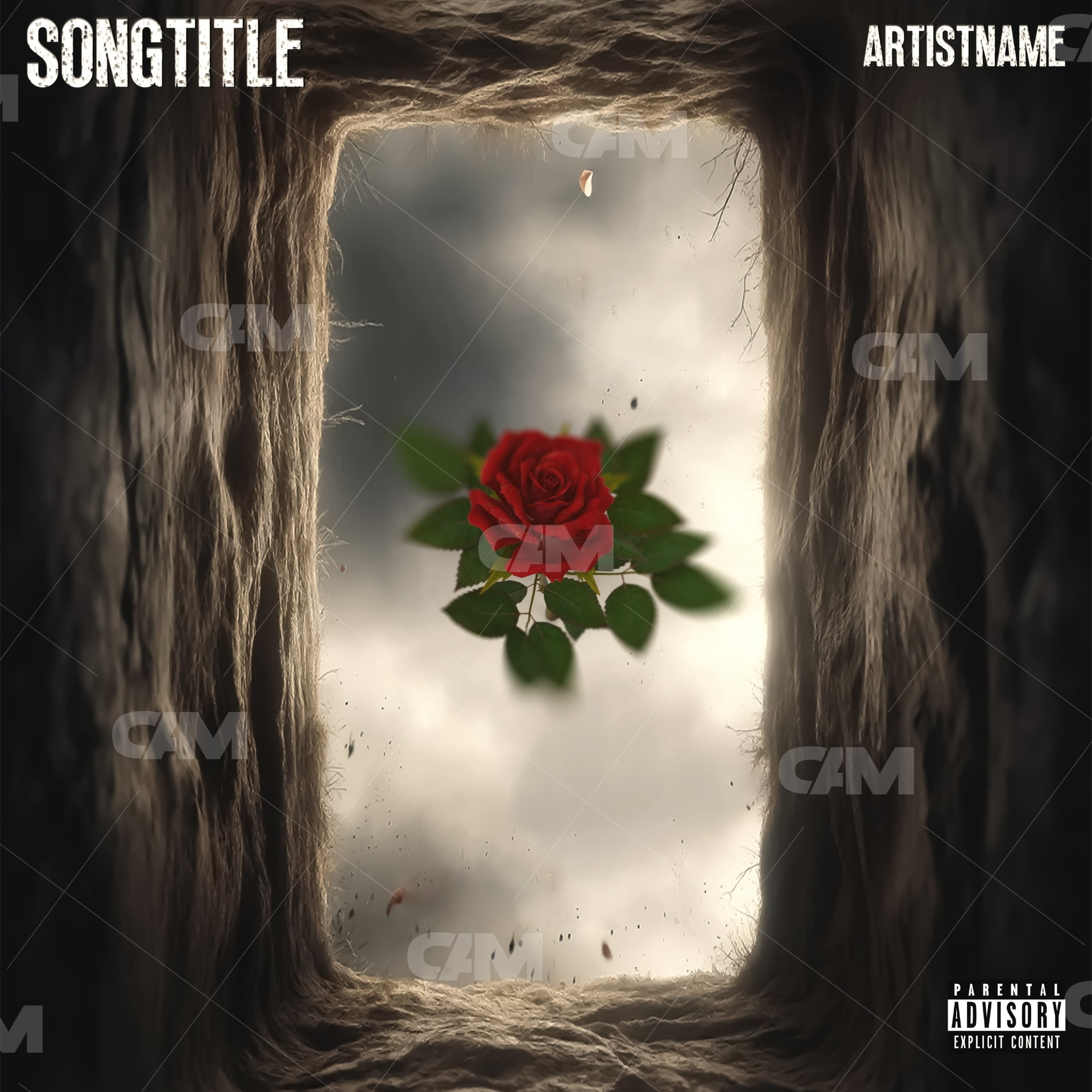 Rose In The Grave