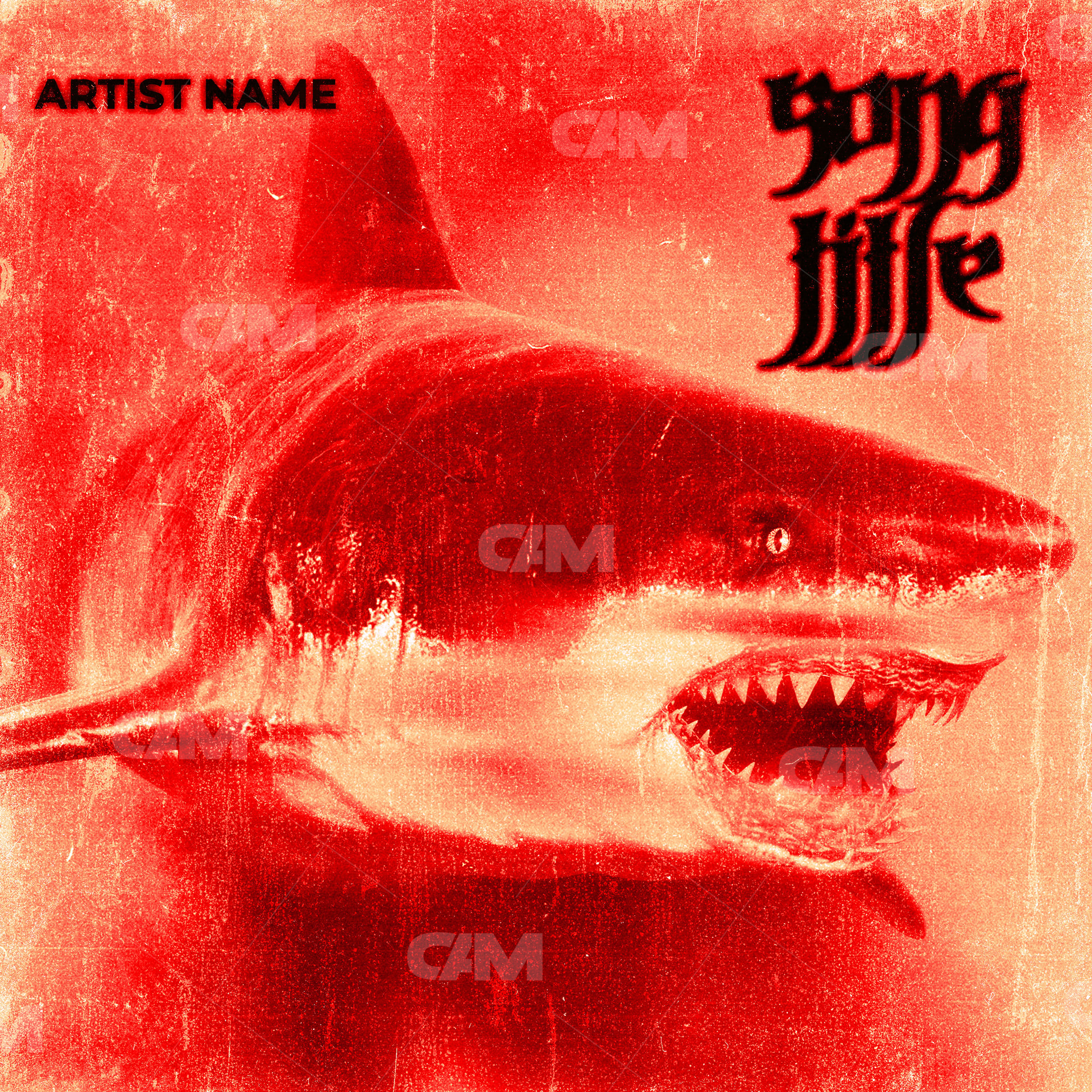 Shark Attack