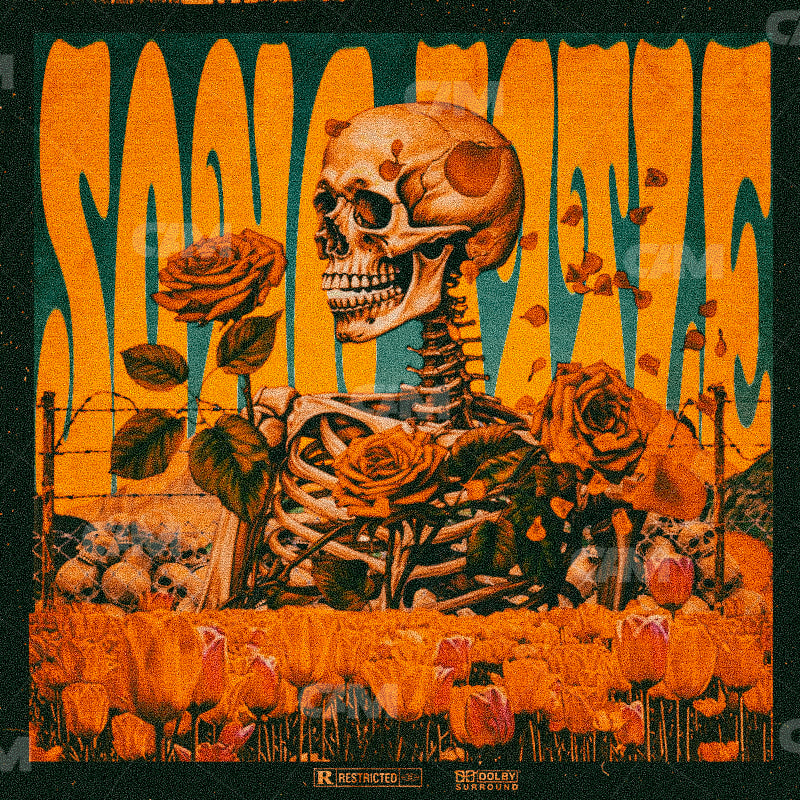 Skeleton (rough Road)