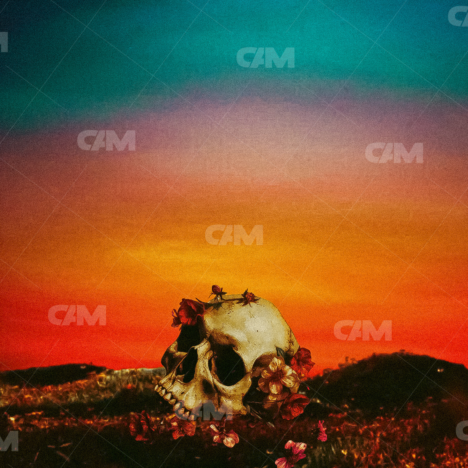 Sunset Skull