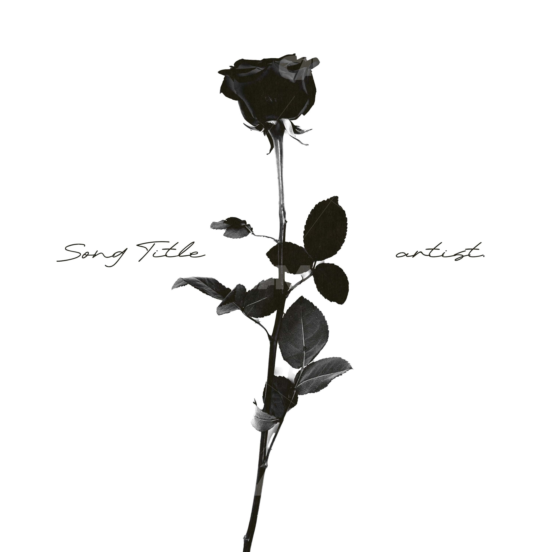 Vintage Chrome Rose